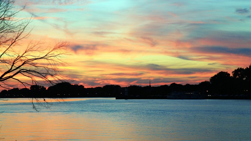 湖面日落晚霞倒影树枝剪影唯美风景电脑壁纸