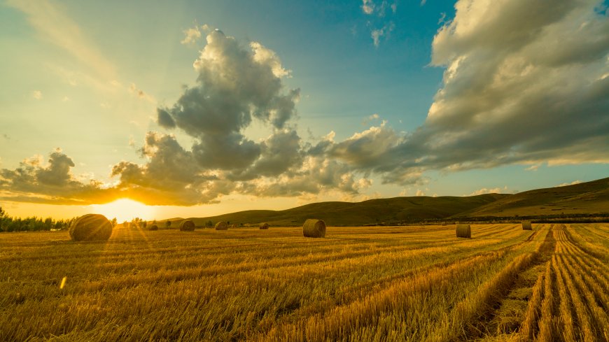 麦田日落余晖洒满大地金色草垛唯美风景电脑壁纸