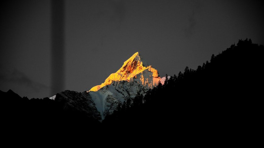 雪山峰顶日照金山剪影树林壮丽风景电脑壁纸