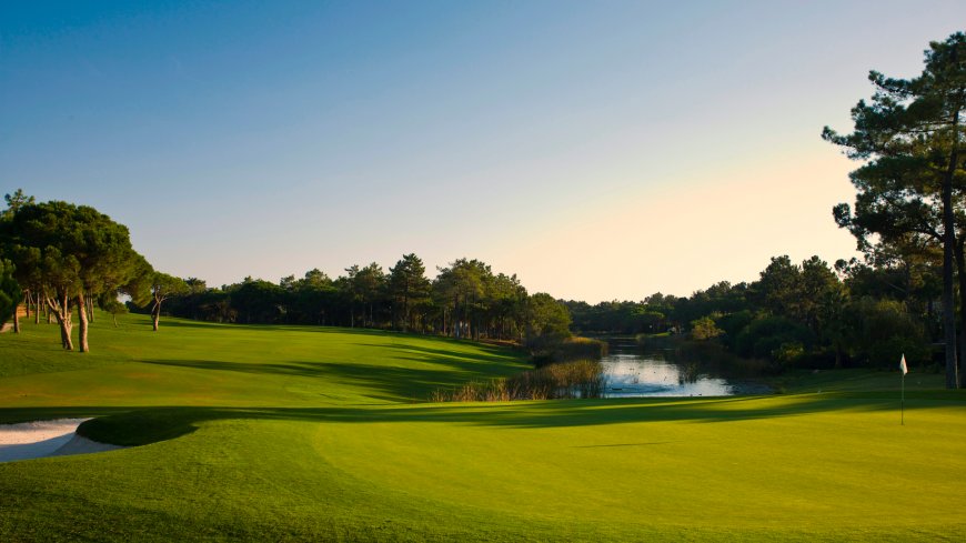 高尔夫球场绿茵草坪水塘树木环绕优雅运动风景电脑壁纸