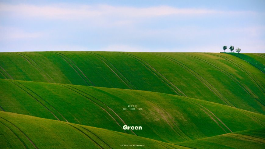 绿色波浪山丘线条优美天空澄澈大地艺术风景电脑壁纸
