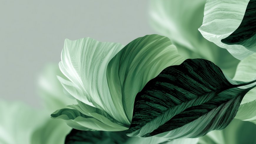 绿色植物叶片纹理抽象线条艺术极简主义风格创意电脑壁纸