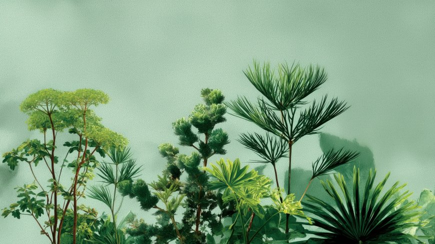 热带植物群绿意盎然层次分明室内装饰创意电脑壁纸