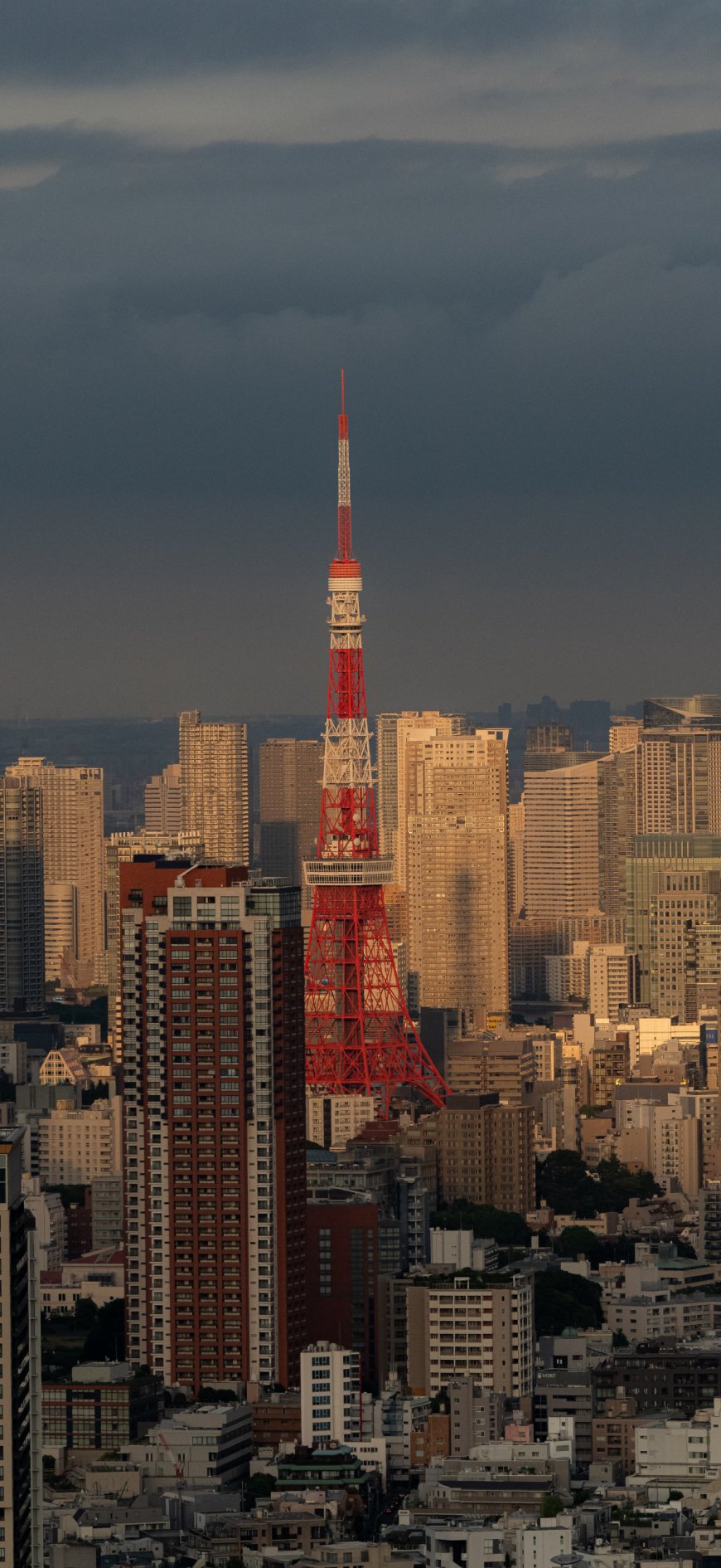 东京塔黄昏灯光城市天际线壮丽风景手机壁纸