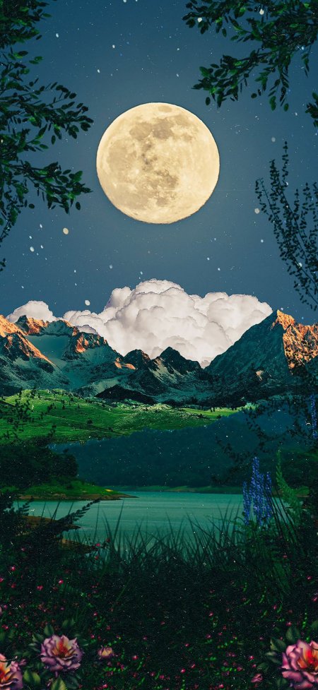 满月照耀山湖花草夜景风景手机壁纸