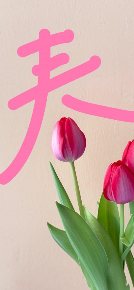 粉色郁金香与汉字春字背景花卉创意手机壁纸