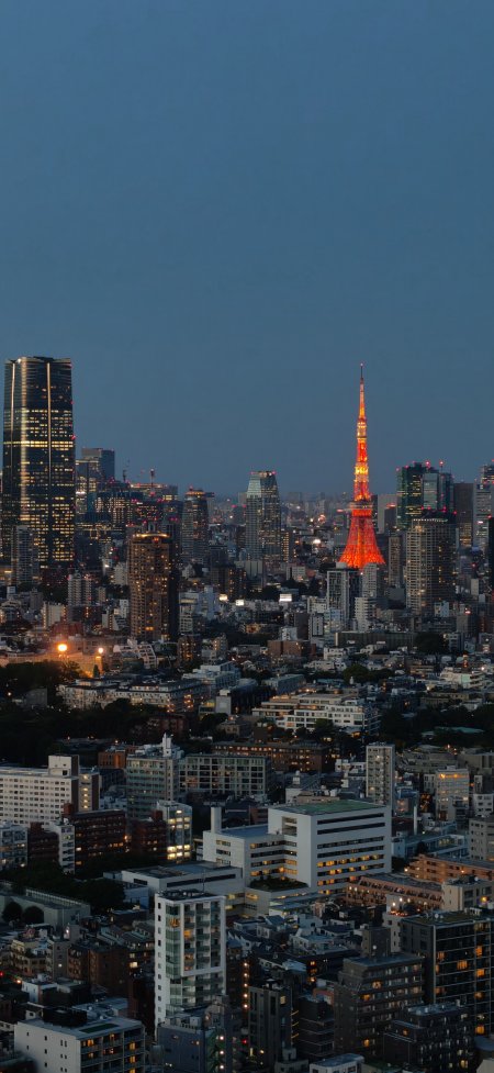 东京塔夜景城市天际线风景手机壁纸