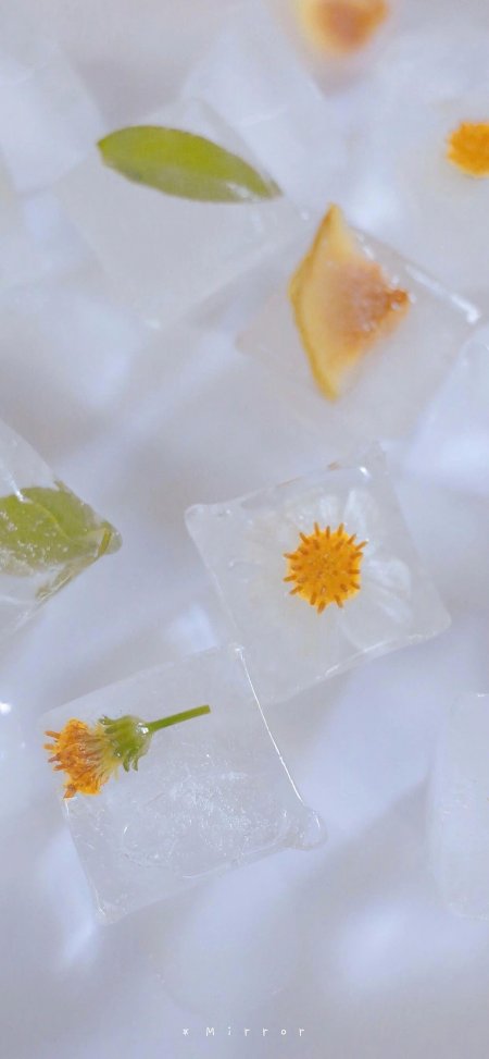 透明冰块封存雏菊绿叶创意静物手机壁纸