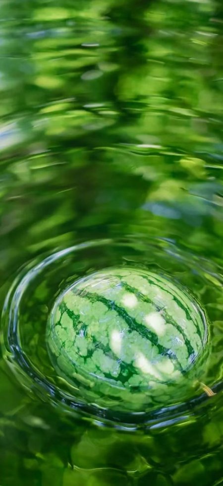 水中西瓜清凉夏日风景手机壁纸