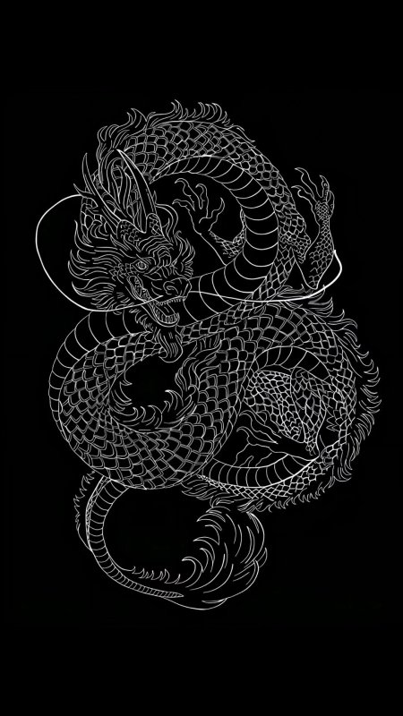 白线勾勒中国龙盘旋黑底创意手机壁纸