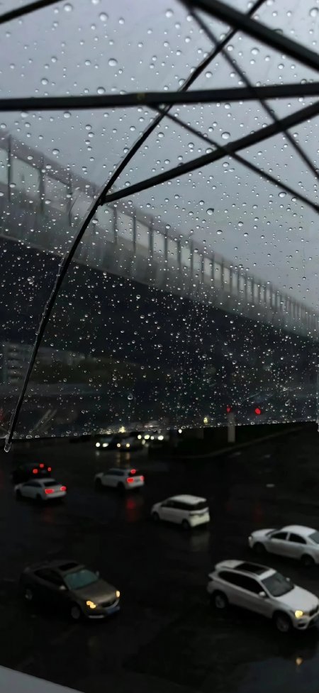 透明雨伞雨滴城市车流夜景氛围感风景手机壁纸