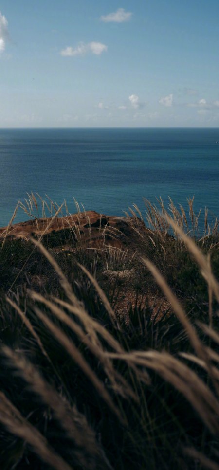 海岸草坡与远海蓝天风景手机壁纸