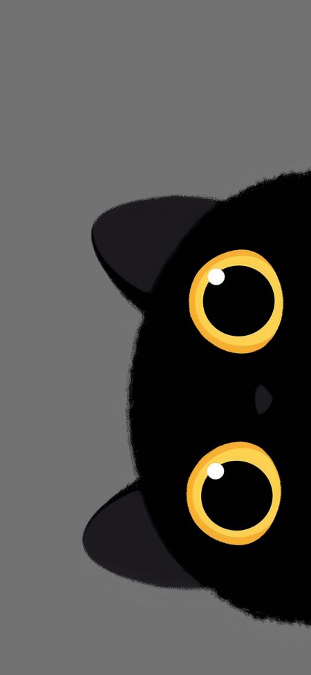 黑色猫咪大眼睛特写可爱卡通动漫手机壁纸