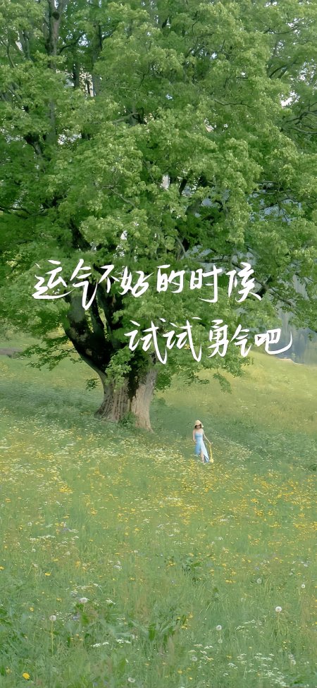 大树草原运气不好试试勇气风景手机壁纸