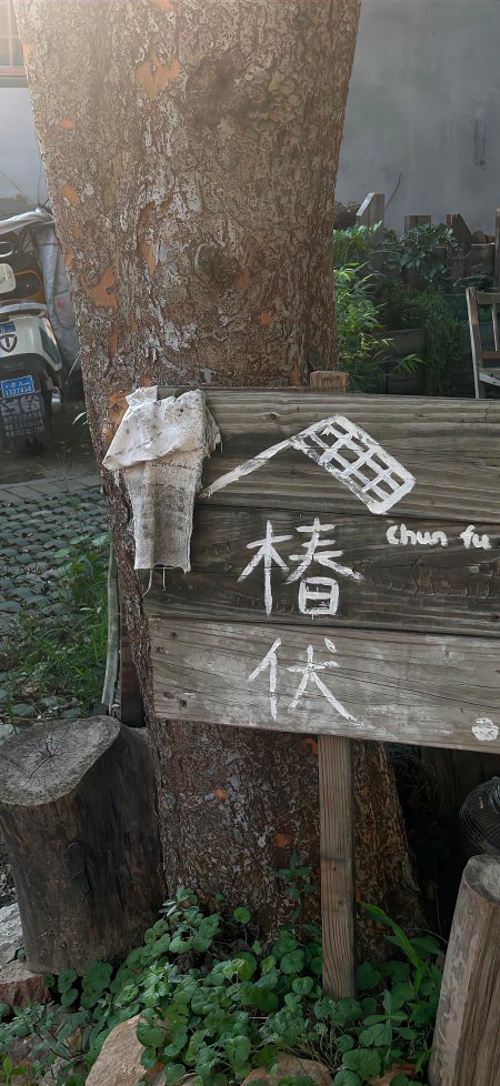 椿伏木质招牌古树旁手写字体创意手机壁纸