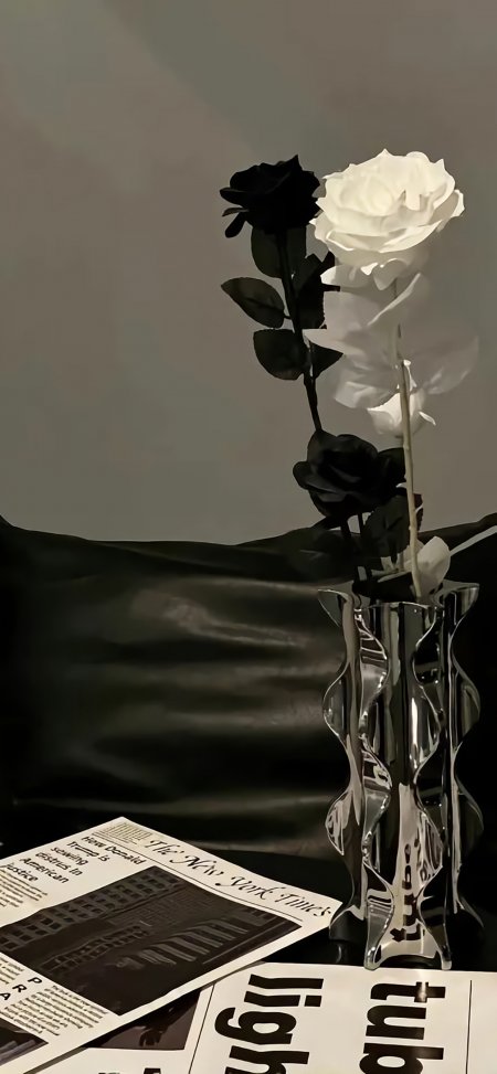 黑白玫瑰玻璃花瓶报纸静物摄影手机壁纸