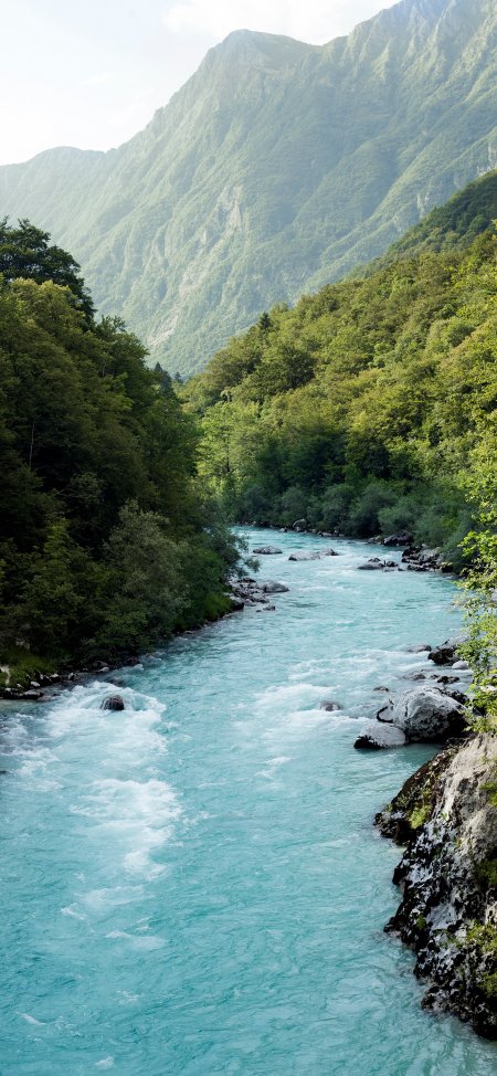 碧绿山谷中湍急河流穿行森林风景手机壁纸