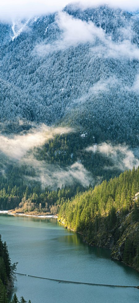 云雾缭绕山湖森林静谧风景手机壁纸