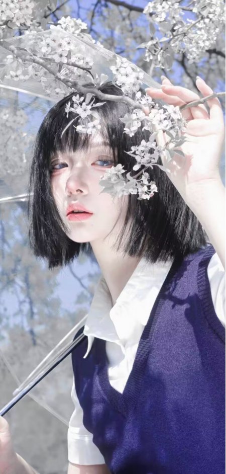 黑发美女紫色针织背心樱花树下清新自然人物手机壁纸