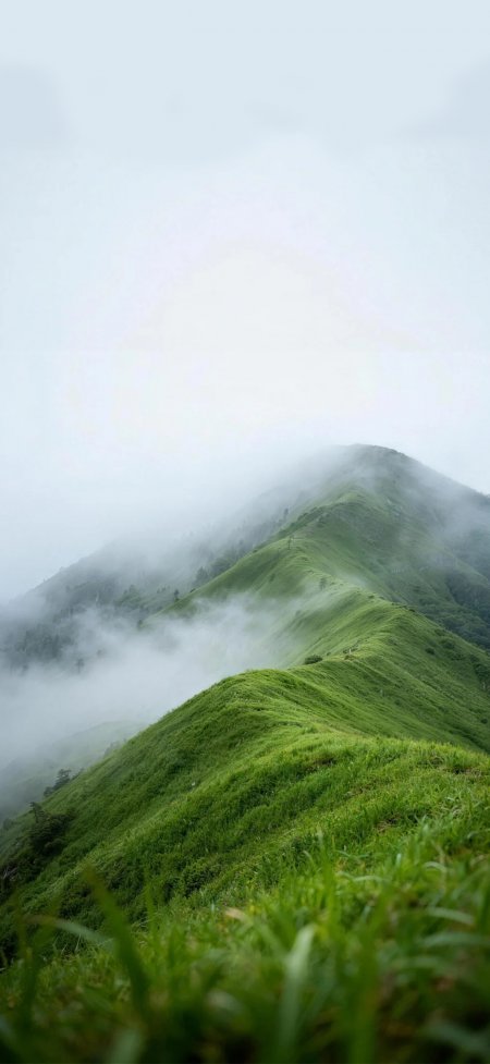 绿色山峦云雾缭绕仙境般自然风光风景手机壁纸