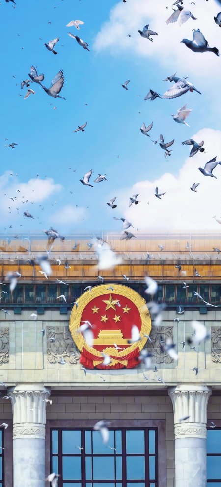 国徽建筑前和平鸽群飞翔手机壁纸