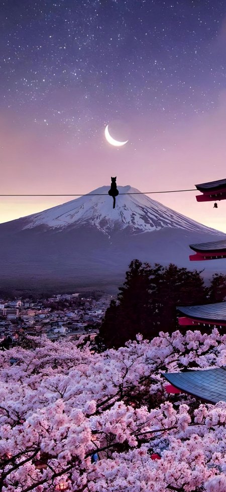 富士山樱花月夜黑猫电线梦幻日系风景手机壁纸