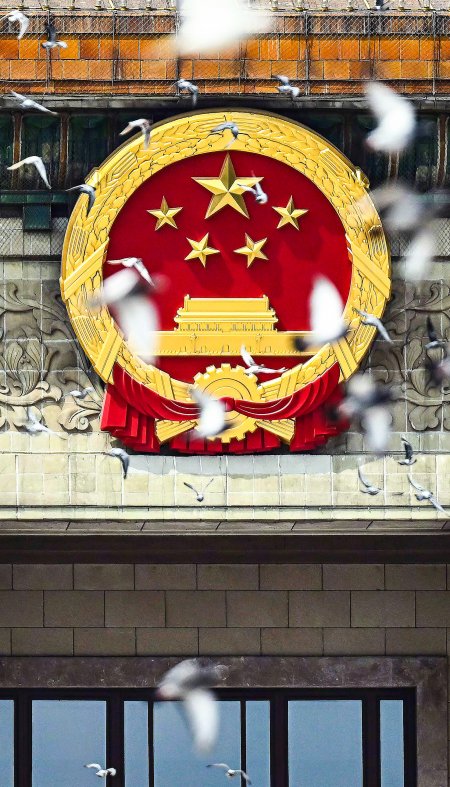 国徽天安门城楼鸽子飞翔庄严风景手机壁纸