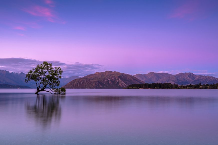 湖中孤树倒影山峦紫霞天空宁静风光风景电脑壁纸