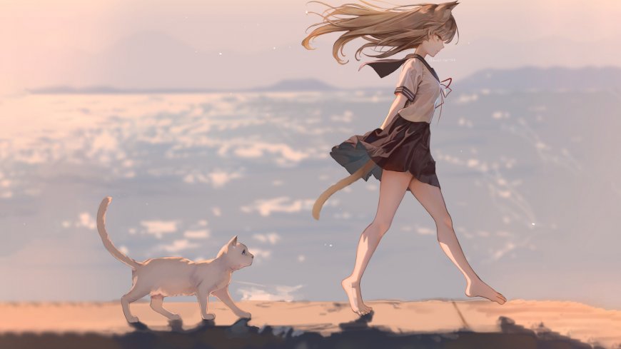 猫耳少女与白猫海边漫步治愈系动漫少女电脑壁纸