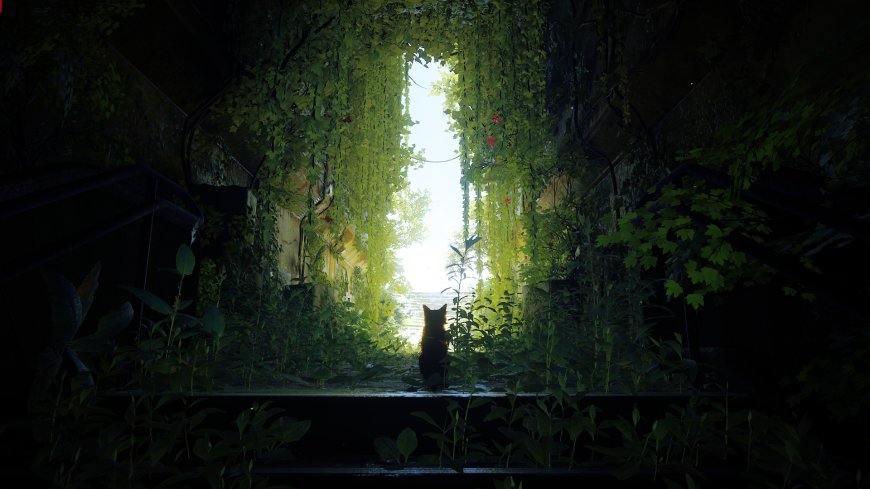 迷失游戏橘猫凝视藤蔓废墟赛博朋克风景电脑壁纸