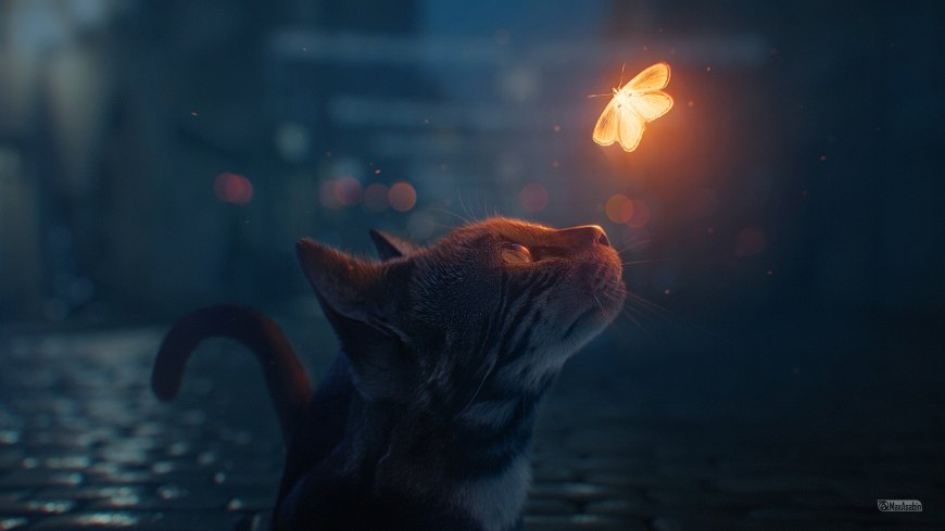猫咪仰望发光蝴蝶唯美意境创意电脑壁纸