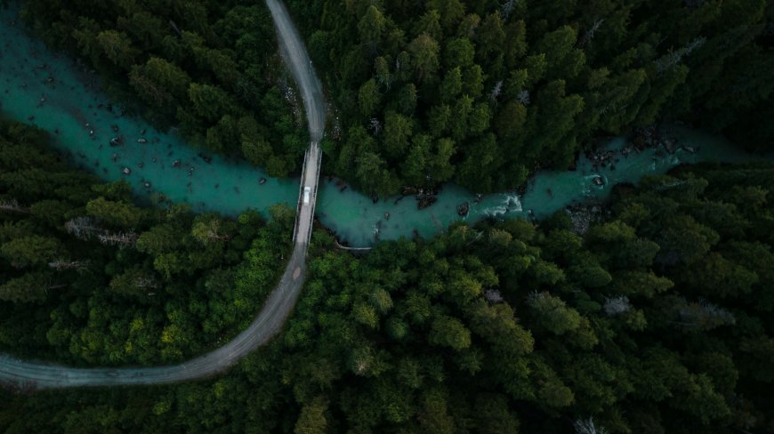 森林河流桥梁航拍绿意盎然自然风光风景电脑壁纸