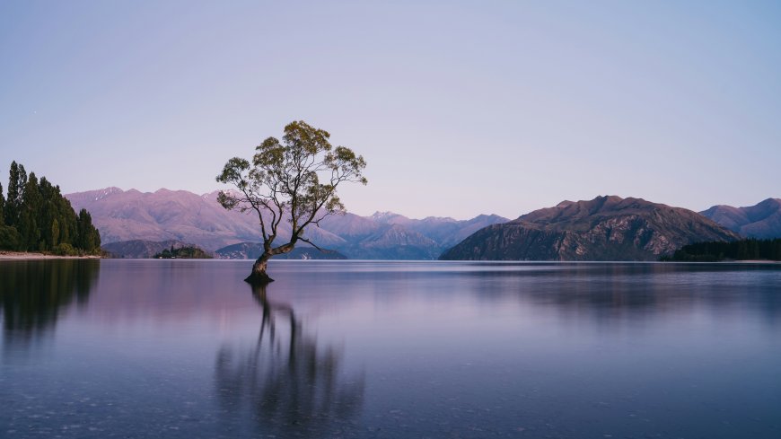 瓦纳卡湖孤独树水中倒影山脉背景自然奇观风景电脑壁纸