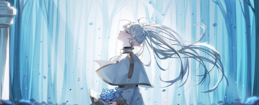 葬送的芙莉莲精灵少女持花仰望动漫电脑壁纸
