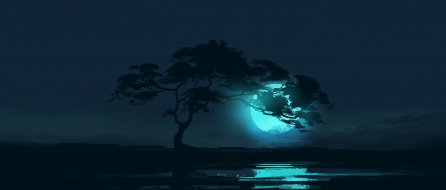 月夜孤树倒影湖面蓝调极简风景电脑壁纸