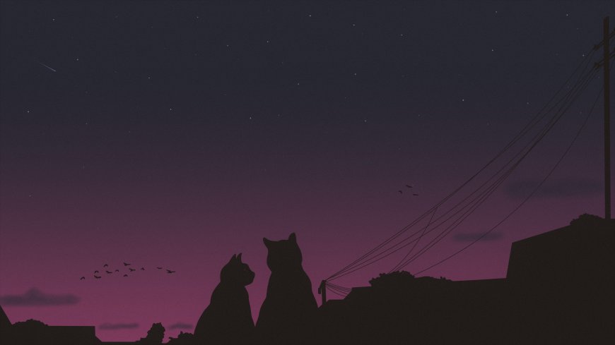 星空下双猫剪影屋顶眺望治愈系动物生态风景电脑壁纸