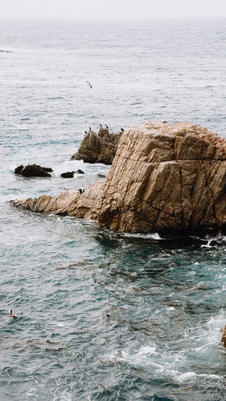 海岸岩石海鸟栖息海浪拍打自然生态风景电脑壁纸