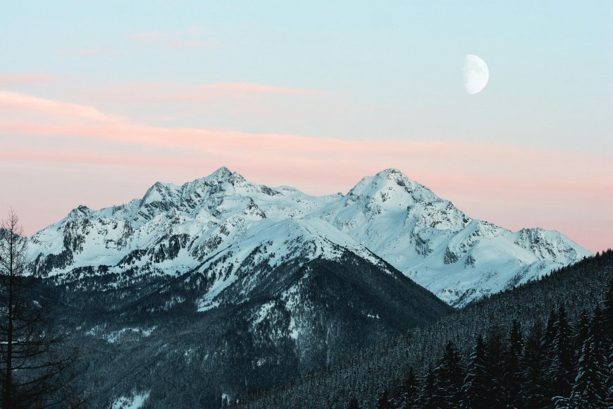 雪山月夜粉霞天空森林覆盖风景电脑壁纸