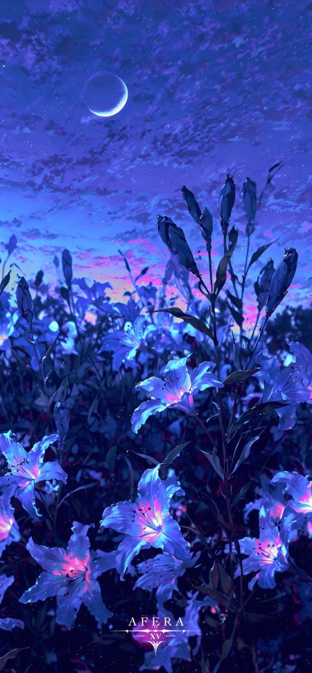 蓝色百合花月夜星空梦幻花卉动漫手机壁纸
