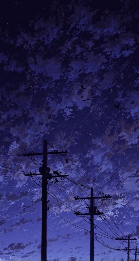 电线杆剪影下深蓝星空飞鸟掠过夜景动漫手机壁纸
