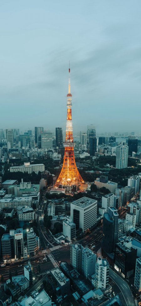 东京塔城市夜景璀璨灯光建筑风景手机壁纸