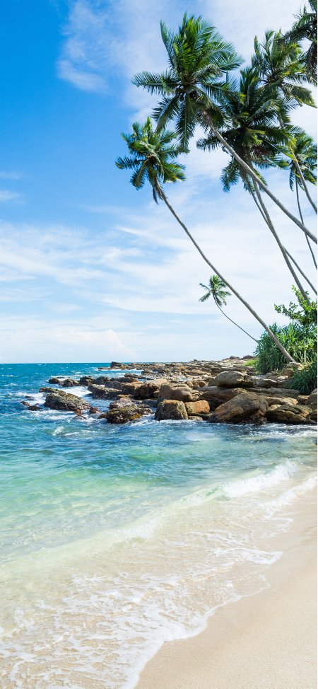 椰树摇曳沙滩海浪热带海岛度假风景手机壁纸