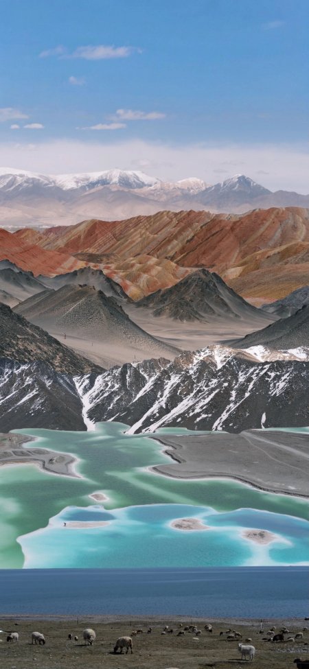 青海彩色山脉湖泊羊群风景手机壁纸
