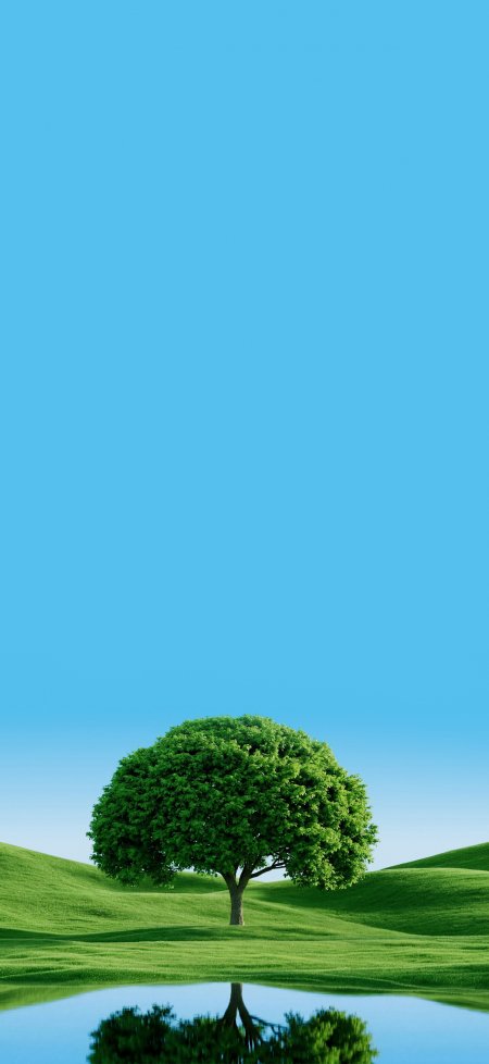 绿草坡上孤树倒影清新风景 手机壁纸