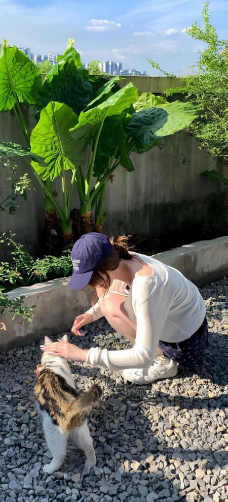 美女白上衣蓝帽蹲地抚摸猫咪温馨人像手机壁纸