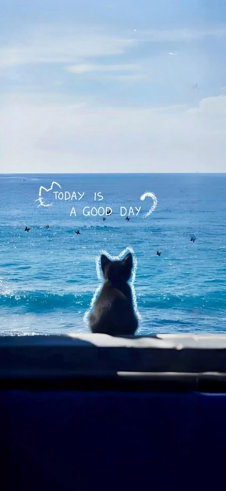 黑猫看海治愈系可爱宠物手机壁纸
