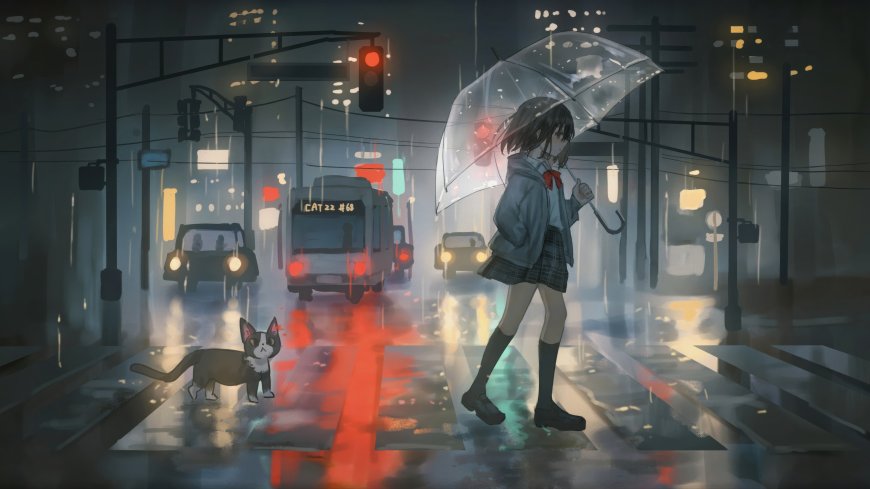 少女撑透明伞雨中漫步与猫相伴城市夜景动漫电脑壁纸
