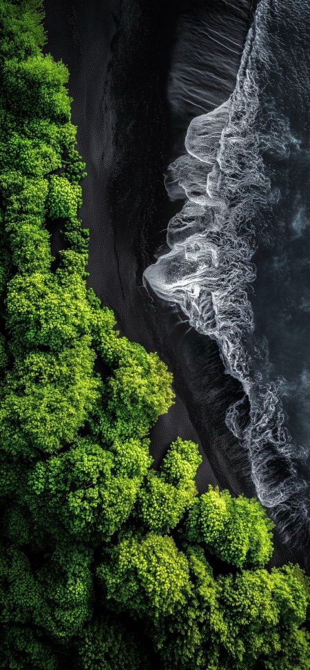黑沙滩与翠绿树林海岸线对比强烈的航拍风景手机壁纸