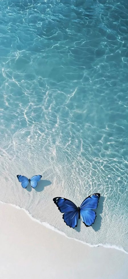蓝闪蝶停驻海边沙滩梦幻风景手机壁纸