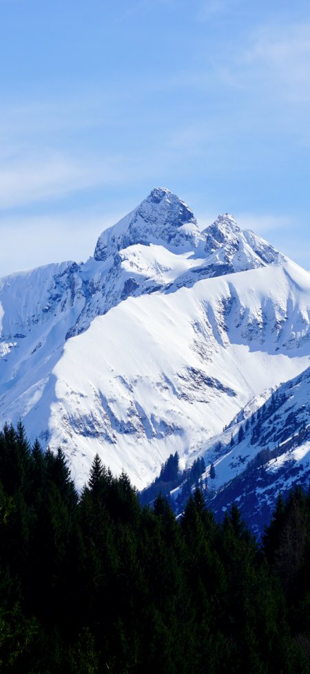 雪山峰顶覆盖白雪蓝天松林自然风光风景手机壁纸
